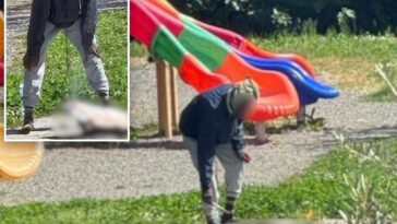 migrant-seen-cooking-cat-on-makeshift-fire-at-children’s-playground