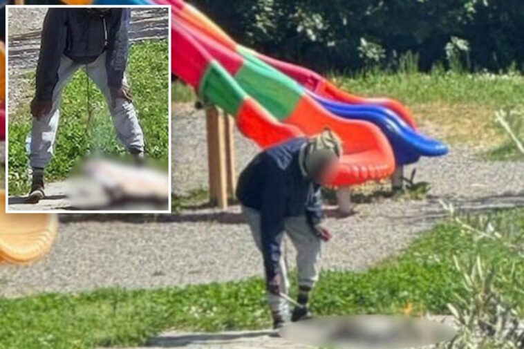 migrant-seen-cooking-cat-on-makeshift-fire-at-children’s-playground