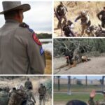 un.-admits:-tough-maga-border-policy-has-saved-1,000+-migrant-lives