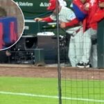 phillies-terrified-as-rat-scurries-by-dugout-during-seventh-straight-loss