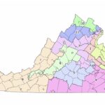 former-trump-staffer-proposes-a-highly-explosive-plan-that-the-president-can-use-to-potentially-blow-up-virginia’s-hideous-new-gerrymander