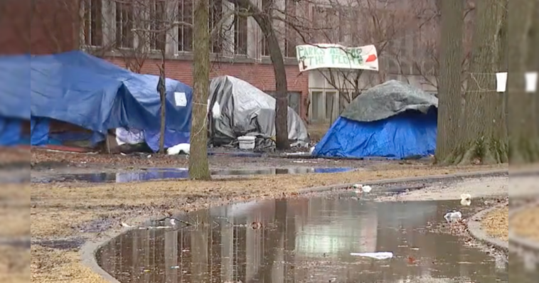 new-illinois-bill-pushed-by-dems-would-override-local-rules-on-homeless-encampments-in-parks-and-public-spaces