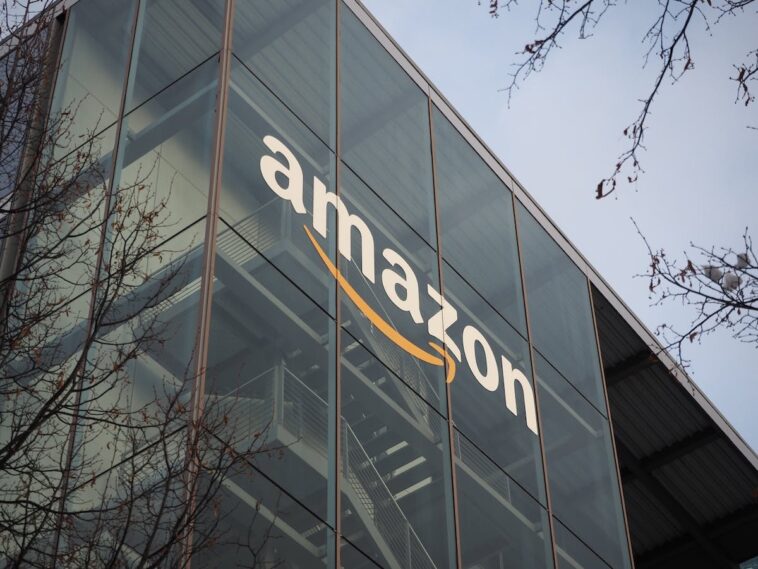 amazon-yanks-anti-immigration-novel,-accidentally-sends-it-rocketing-up-the-charts