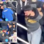 mets,-twins-fans-engage-in-wild-brawl-as-losing-streak-balloons-to-12