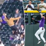 mlb-fan’s-wild-diving-effort-for-foul-ball-stuns-social-media-users