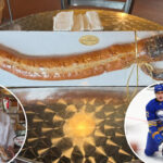 bakery-roasted-over-x-rated-buffalo-sabres-bread-for-stanley-cup-playoffs