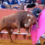 bullfighter-suffers-perforated-rectum-after-being-gored-in-comeback-from-retirement
