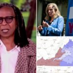 whoopi-goldberg-urges-‘everybody-stop-with-the-redistricting’-after-landmark-virginia-vote