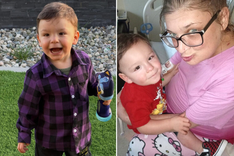 heartbreaking-message-from-aunt-of-toddler-horrifically-sexually-abused-and-slain-by-foster-mother’s-son