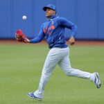 impact-of-juan-soto’s-return-could-provide-impetus-for-mets-change-—one-way-or-another