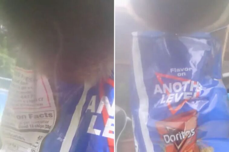 sneaky-bear-snatches-bag-of-doritos-left-outside-ct-home,-video-shows
