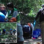 human-remains-belonging-to-multiple-children-between-ages-3-and-7-discovered-in-memphis-woods