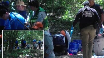 human-remains-belonging-to-multiple-children-between-ages-3-and-7-discovered-in-memphis-woods