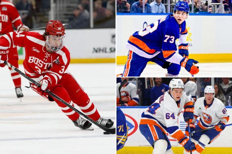 what-i-learned-from-going-to-watch-top-islanders-prospects-in-the-ahl-playoffs