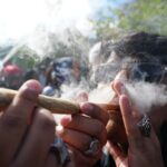 trump-admin-rewrites-the-rulebook-on-weed-with-reclassification-—-making-research-and-banking-much-easier