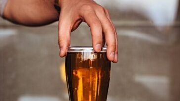 cheers!-german-study-finds-hidden-health-benefit-in-a-glass-of-beer