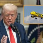 trump-admin-moves-to-legalize-marijuana-for-those-with-a-medical-need-or-anyone-having-to-fly-on-spirit-airlines