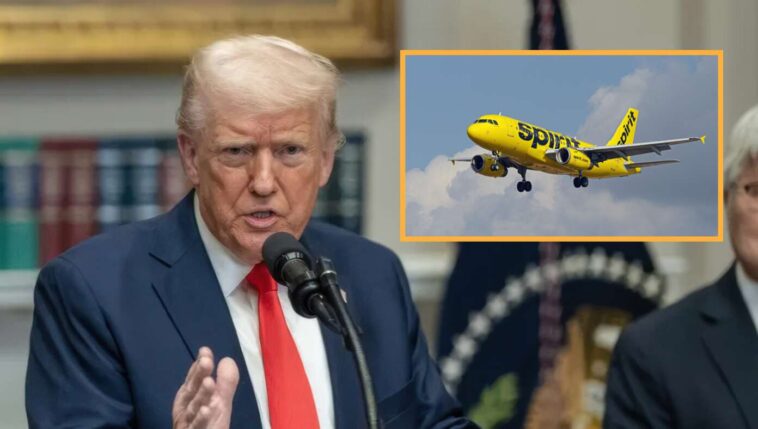 trump-admin-moves-to-legalize-marijuana-for-those-with-a-medical-need-or-anyone-having-to-fly-on-spirit-airlines