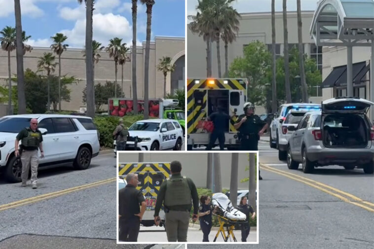 at-least-6-injured-in-‘active-shooter-scene’-at-mall-of-louisiana