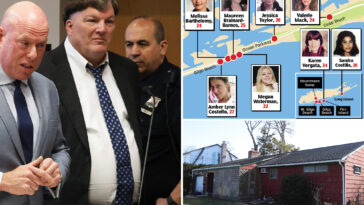 gilgo-beach-killer-unleashed-four-day-kill-ritual-with-eerie-‘checklist’-to-keep-double-life-hidden:-doc