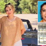 judge’s-damning-five-word-rebuke-to-accused-iranian-arms-dealer-snared-at-lax