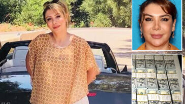 judge’s-damning-five-word-rebuke-to-accused-iranian-arms-dealer-snared-at-lax