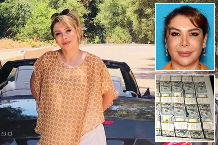 judge’s-damning-five-word-rebuke-to-accused-iranian-arms-dealer-snared-at-lax