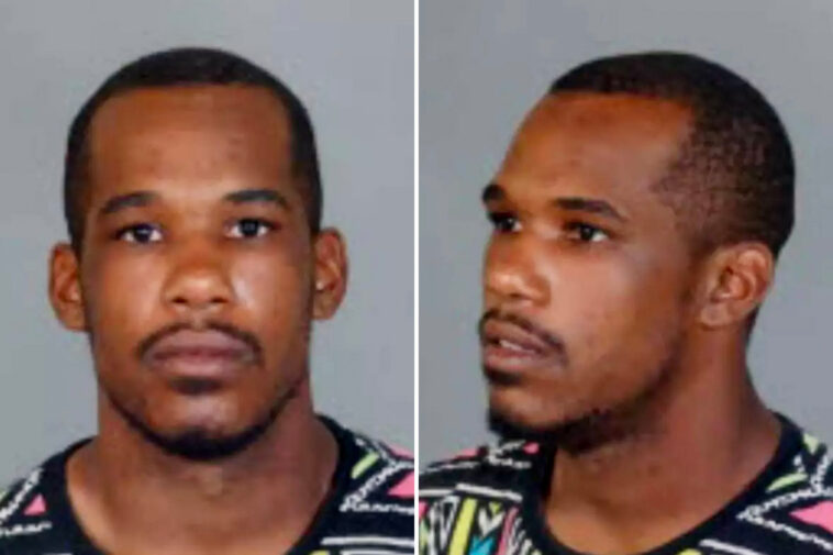 registered-sex-offender-turned-himself-in-after-sexually-assaulting-several-women-over-a-six-hour-window