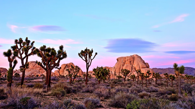 hiker-stumbles-on-human-skull-in-iconic-desert-as-mystery-grows-and-detectives-open-homicide-probe
