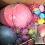brothers-sentenced-for-sinister-drug-network-that-used-easter-eggs-to-hide-meth