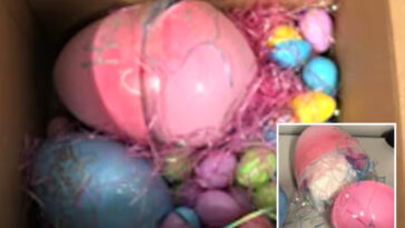 brothers-sentenced-for-sinister-drug-network-that-used-easter-eggs-to-hide-meth