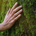 english-nature-festival-makes-the-important-clarification-that-it-is-not-for-nudists