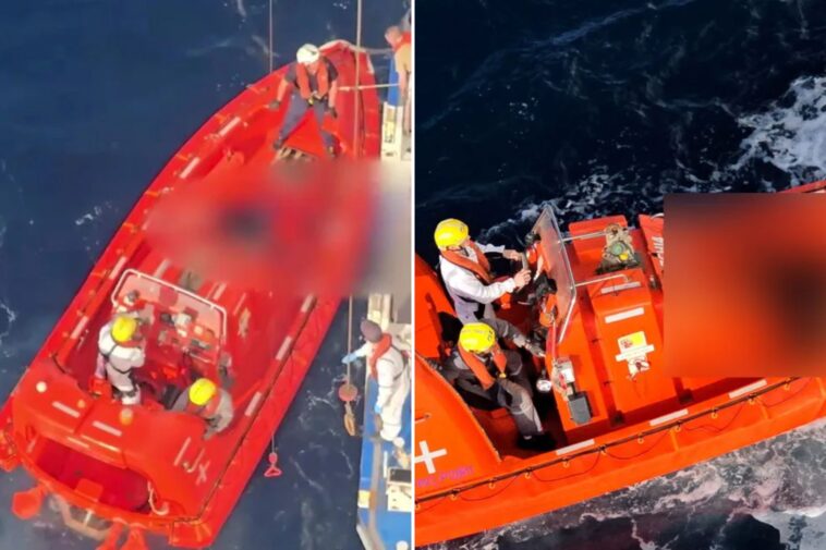 sapphire-princess-cruise-ship-recovers-5-bodies-from-sea-during-3-hour-mission 