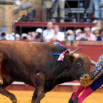 watch:-spain’s-‘king-of-bullfighters’-suffers-rectal-goring-injury-during-match-in-seville
