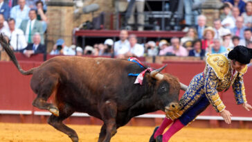 watch:-spain’s-‘king-of-bullfighters’-suffers-rectal-goring-injury-during-match-in-seville