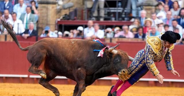 watch:-spain’s-‘king-of-bullfighters’-suffers-rectal-goring-injury-during-match-in-seville