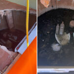 tourist-trapped-waist-deep-in-sewage-for-hours-after-toilet-collapses-during-family-stop