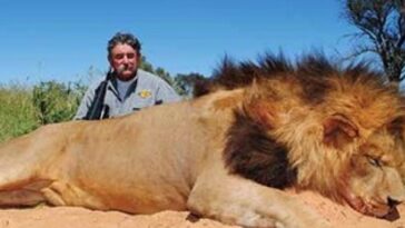 millionaire-american-big-game-hunter-trampled-to-death-by-angry-elephants-in-africa-while-stalking-a-shy-and-elusive-animal
