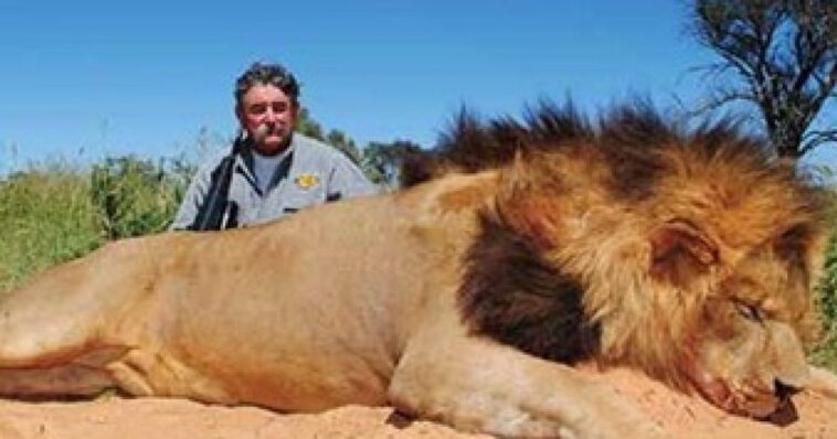 millionaire-american-big-game-hunter-trampled-to-death-by-angry-elephants-in-africa-while-stalking-a-shy-and-elusive-animal