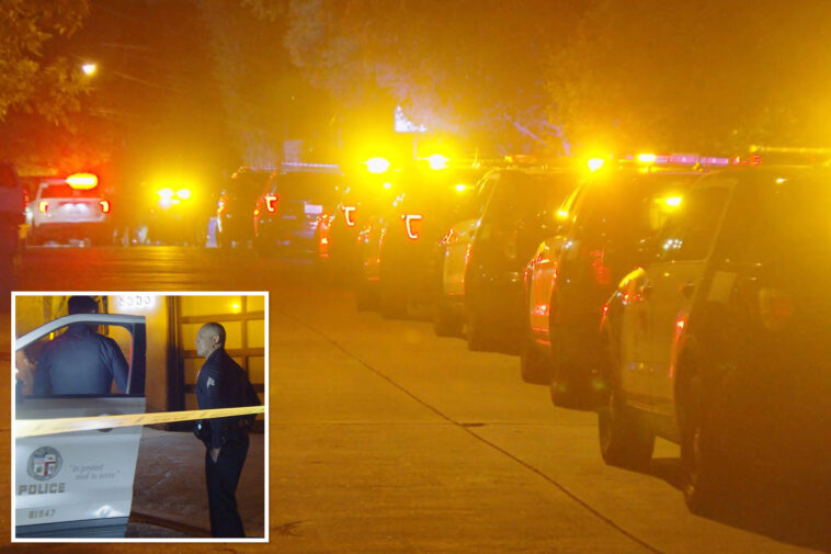 70-year-old-woman-strangled-in-horrifying-hollywood-hills-home-invasion