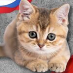 gop-led-farm-bill-amendments-target-animal-tests-in-us,-china,-and-russia