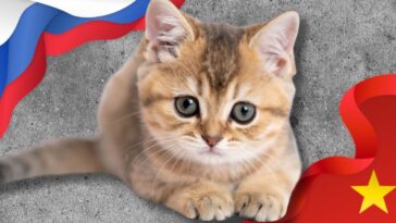 gop-led-farm-bill-amendments-target-animal-tests-in-us,-china,-and-russia