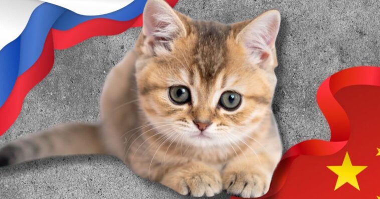 gop-led-farm-bill-amendments-target-animal-tests-in-us,-china,-and-russia