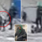 long-time-criminal-who-once-decapitated-pigeon-cut-loose-again-after-kicking-child:-cops,-da