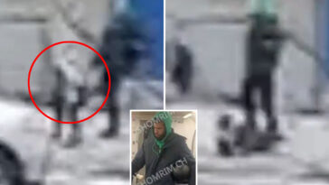 long-time-criminal-who-once-decapitated-pigeon-cut-loose-again-after-kicking-child:-cops,-da