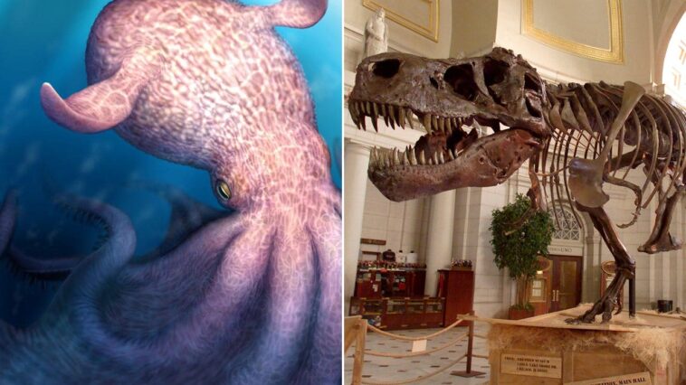 ‘gigantic’-ancient-octopus-used-jaws-to-crush-prey-and-hunted-alongside-the-dinosaurs-100m-years-ago:-study