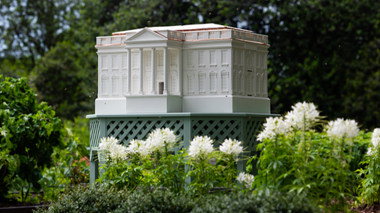 melania-trump-unveils-a-white-house-replica-beehive-buzzing-with-new-colonies-on-the-south-lawn