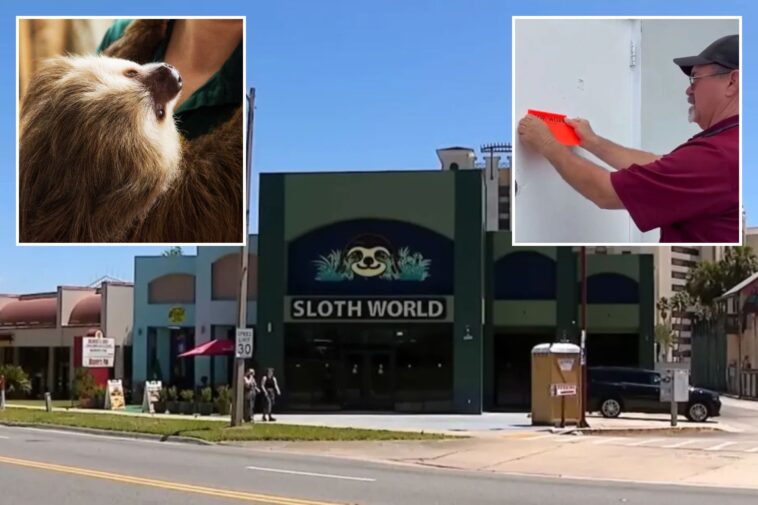 florida-‘slotharium’-shuttered-after-probe-found-31-sloths-died-in-‘worst-conditions-possible’