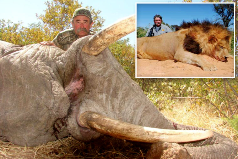 millionaire-big-game-hunter-from-us-trampled-to-death-by-five-elephants-while-eyeing-his-next-kill-in-africa