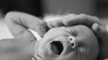 infant-surrendered-to-safe-haven-baby-box-in-tennessee